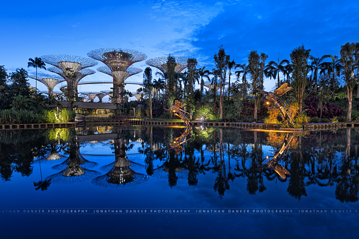 z_jungle_blues_by_draken413o-d5vgvdo.jpg
