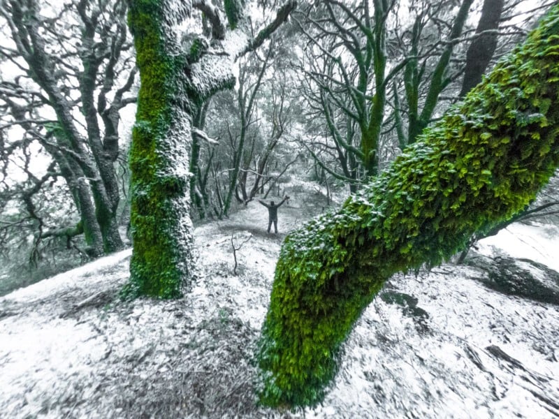 Snow-in-Bay-Area-800x600.jpg
