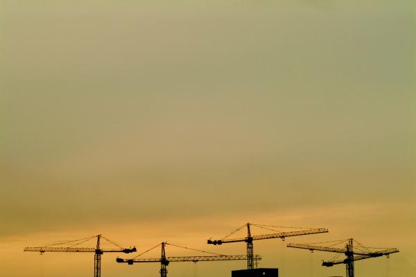 71445052.jpg