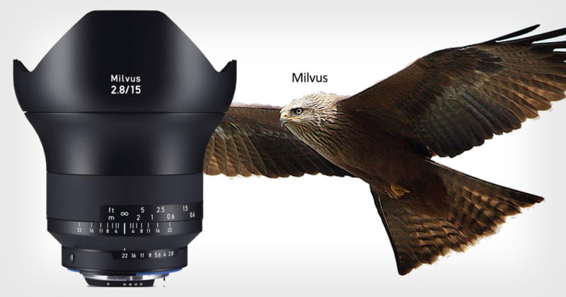 milvuslensbirdfeat-800x420.jpg