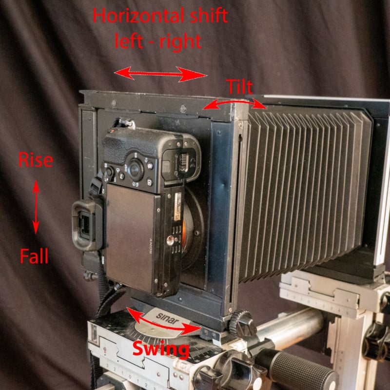 image9-1-800x800.jpg