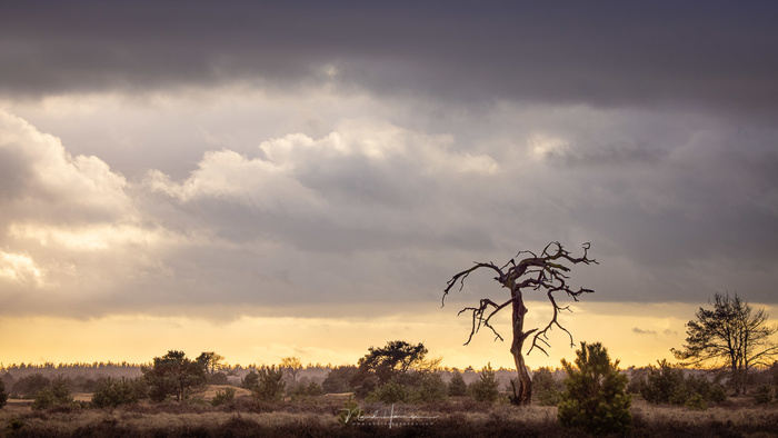 The Six Pillars for a Good Landscape Photo