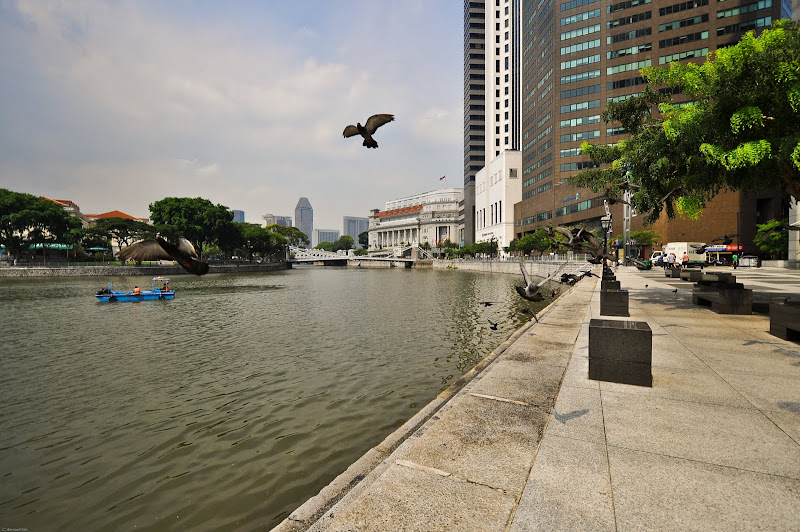 DSC_0746.jpg