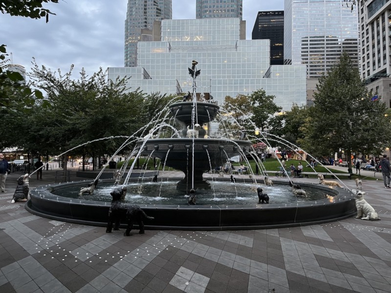 iPhone-13-fountain-800x600.jpg