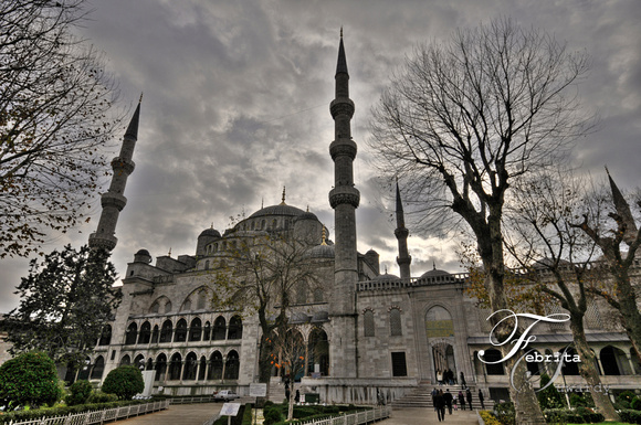 p837983878-3.jpg