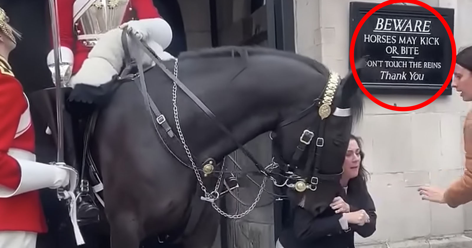 A black horse ridden by a uniformed guard leans down as a woman crouches near its head. A sign on the wall reads, BEWARE HORSES MAY KICK OR BITE. DON'T TOUCH THE REINS. Thank you. The scene appears to be near a ceremonial guard post.