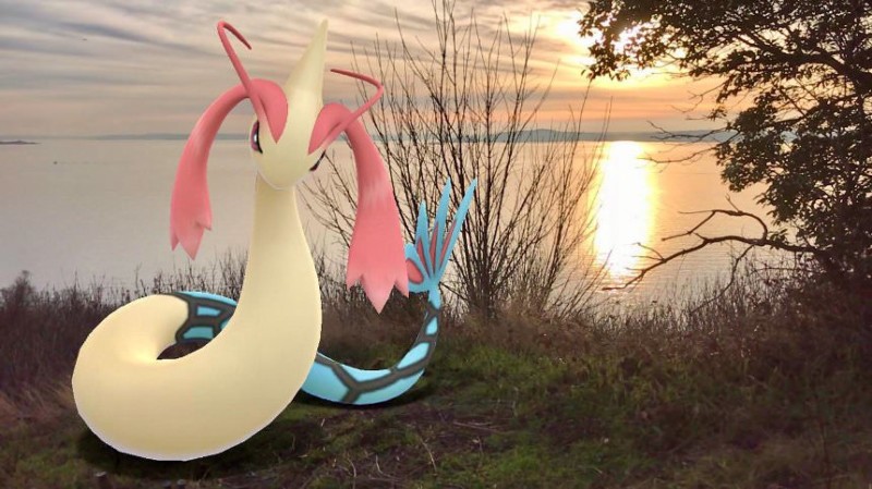 gosnapshot-5-800x449.jpg