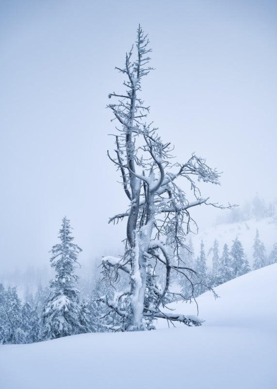 Christian-Hoiberg-Winter-Portraits-6-571x800.jpg