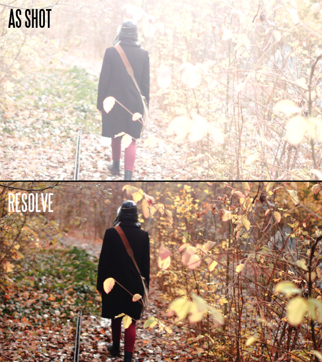 bmcc-latitude.jpg