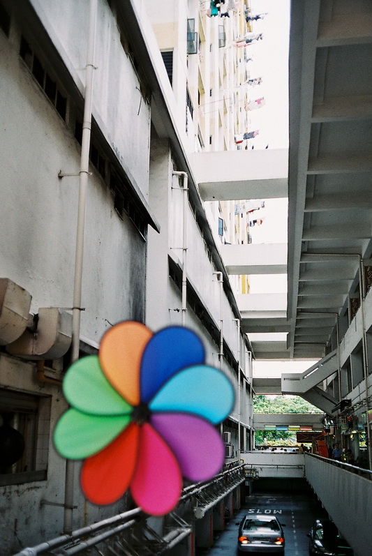 rochor_ql17_01.jpg