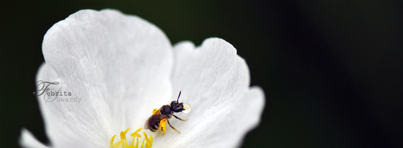 p791933474-3.jpg