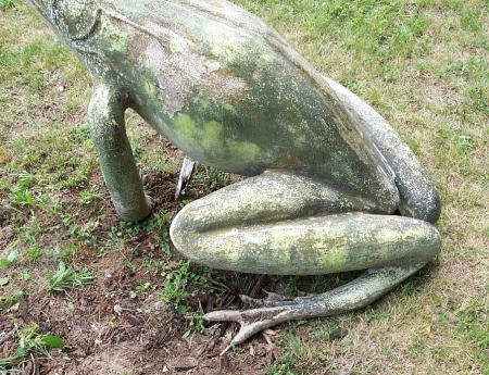 Frog_legs_2003.jpg