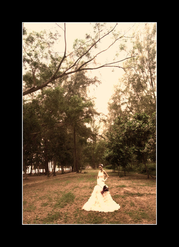 Victorian_Splendor___Rachel06_by_spect75.jpg