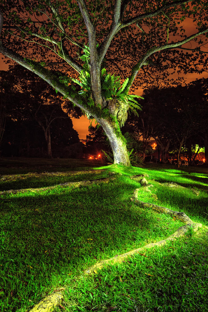 bioluminescent_by_draken413o-d51itfd.jpg