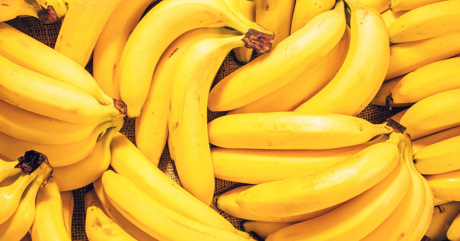 A close-up view of several bright yellow bananas clustered together, with some bunches overlapping, creating a vibrant and fresh display.