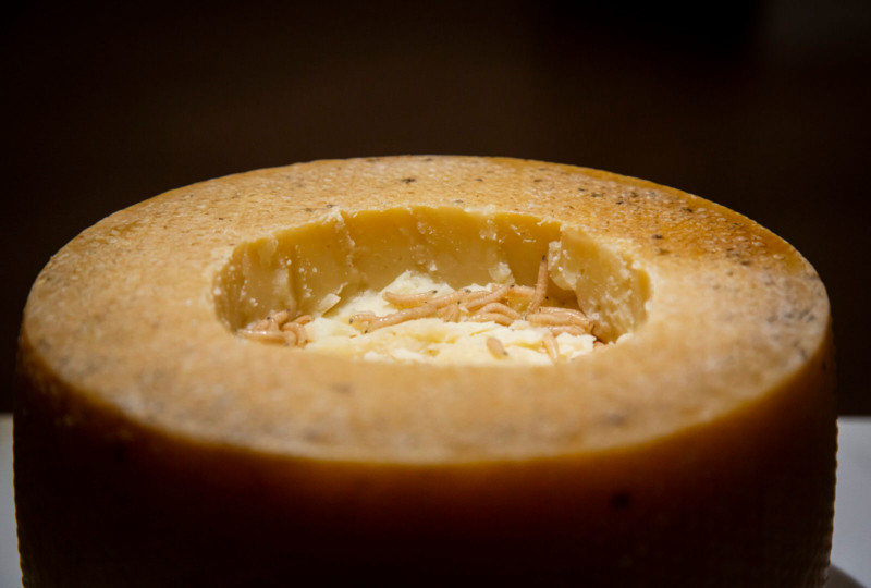 Casu-Marzu--800x540.jpg