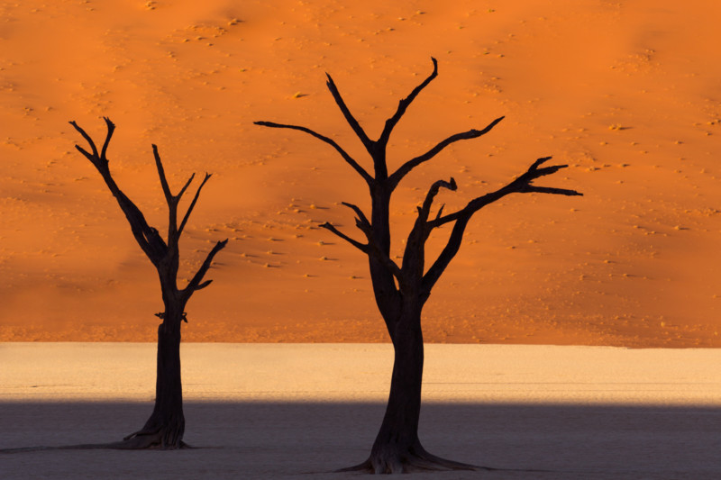 Michael-Bonocore-DeadVlei-Namibia-800x533.jpg