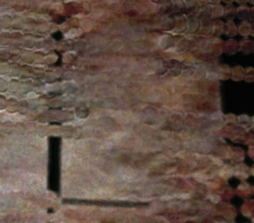 2784013700_8ac55f8264.jpg