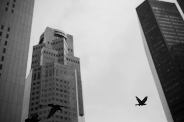 5980899216_62a75bae4e_z.jpg