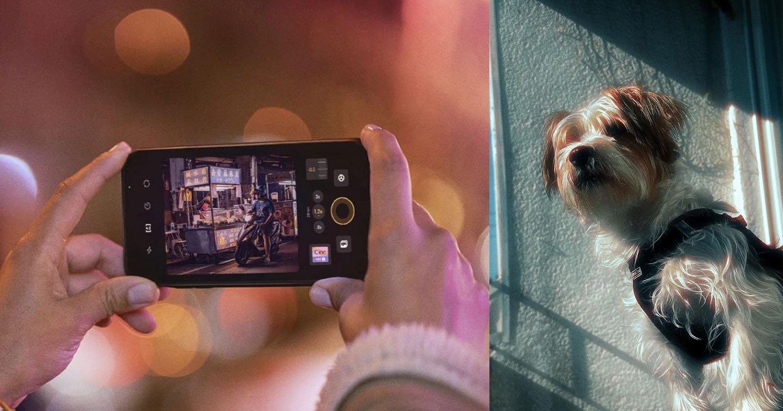 A person holds a smartphone taking a photo of a lively street scene with blurred lights. Next to it, a fluffy dog stands in sunlight, casting a shadow against a wall.