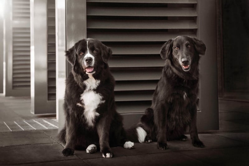 urban-duo-2746-800x534.jpg