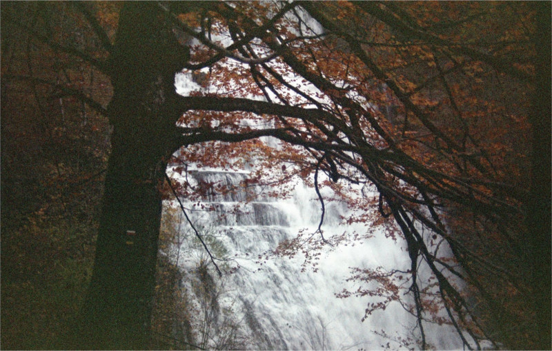 c200-1-800x509.jpg