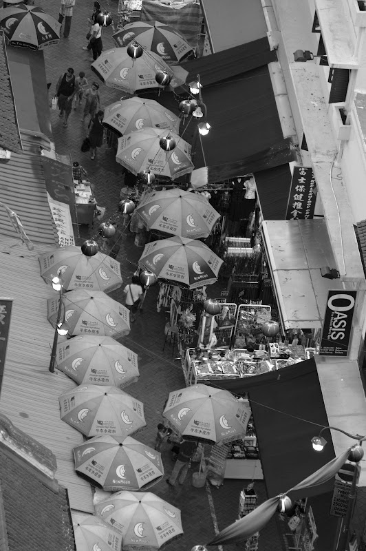 DSC_9186b.jpg"