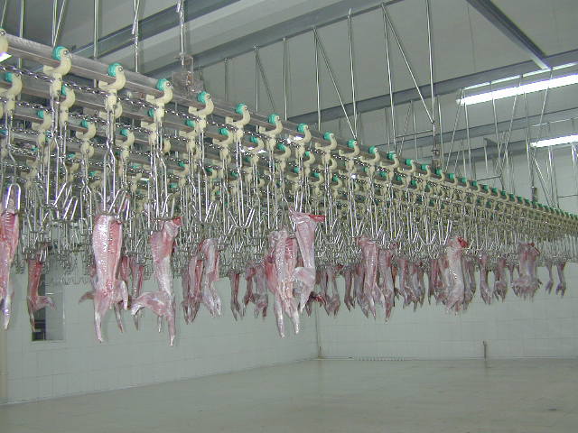 Rabbit_Hindleg_Frozen_Whole_Rabbit_Rabbit_Boneless_Meat.jpg