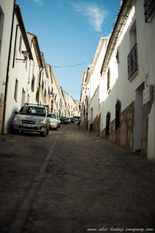 DSC_9549-XL.jpg