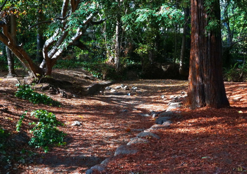 433-dehaze30-curves-crop-sat50-sharp50--800x565.jpg