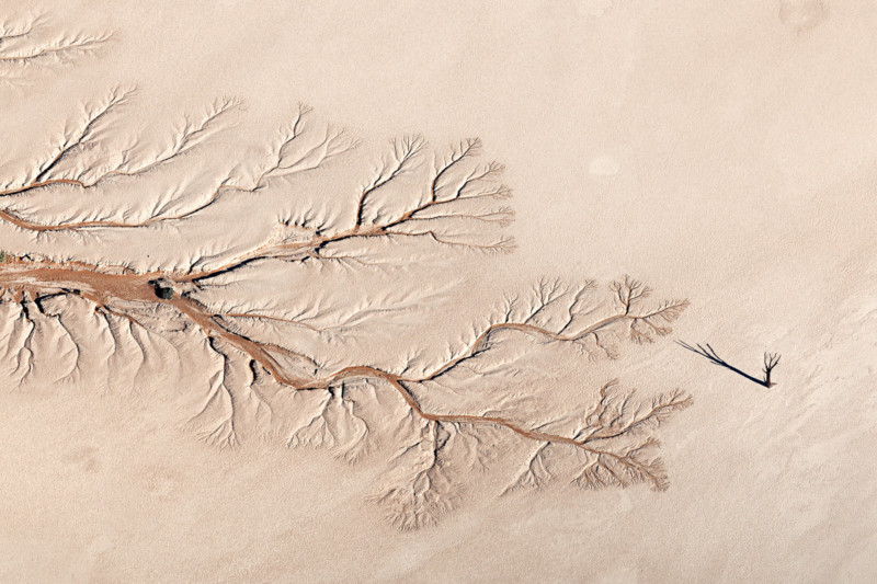 Nature-TTL-award-photography-Jay-Roode-800x533.jpg