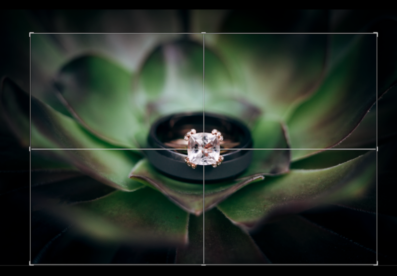 centered-crop-overlay-800x556.png