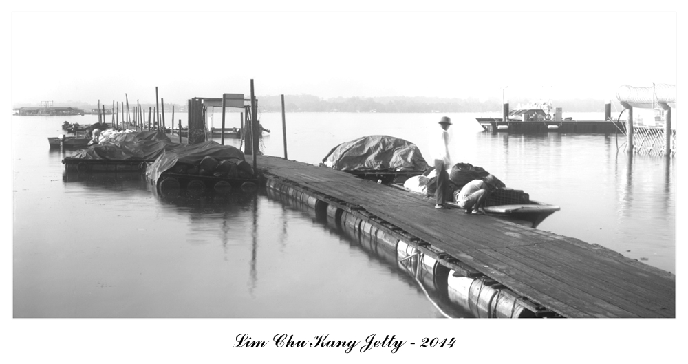 lck_jetty002.jpg