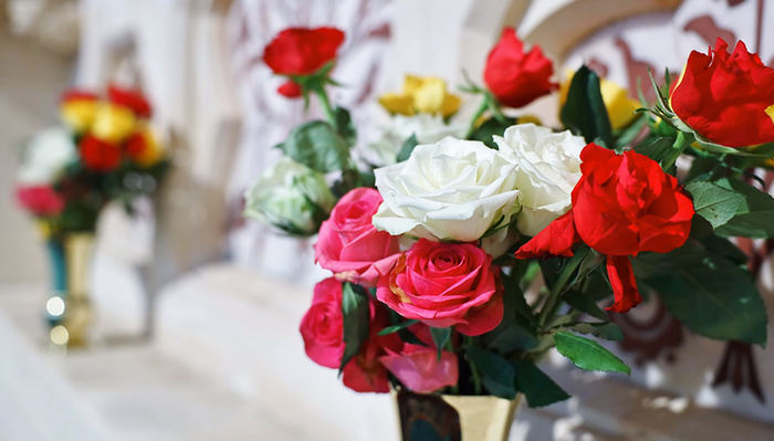 A Review of the Canon RF 15-35mm f/2.8L IS USM Lens