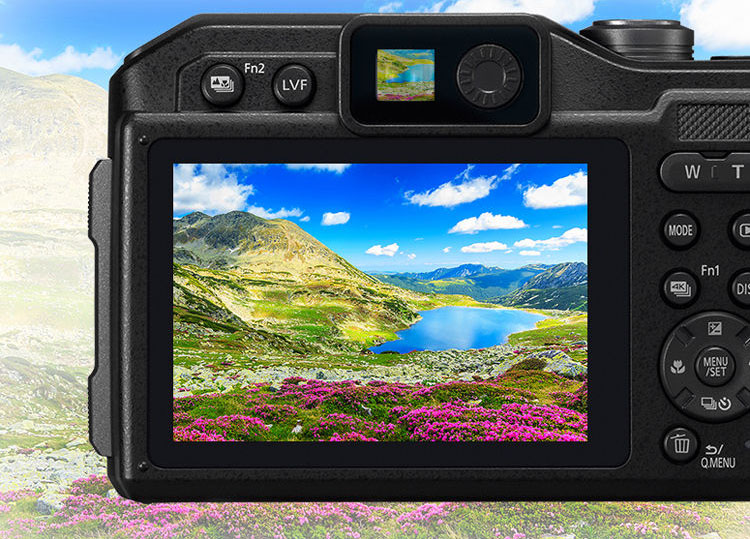 viewfinder.jpg