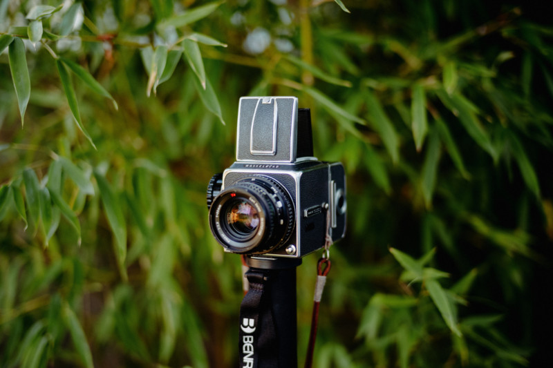 leica50lux-05-800x533.jpg