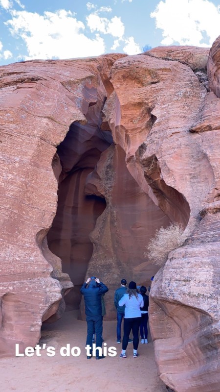 antelope-450x800.jpg