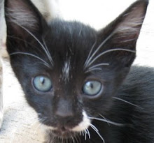 tux.jpg