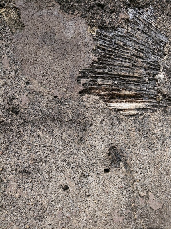 galleFortWall-598x800.jpg