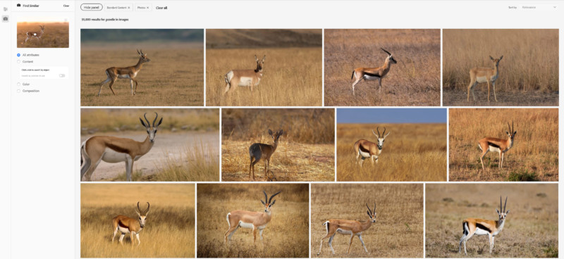 Visual-search-smarter-7-800x368.jpg