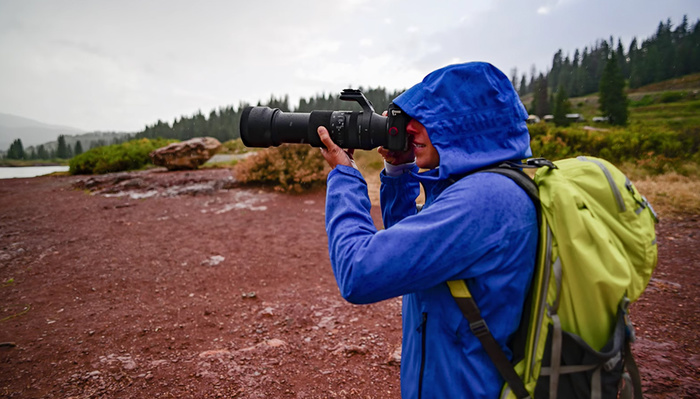 Affordable Reach: A Review of the Sigma 100-400mm f/5-6.3 DG DN OS Contemporary Lens
