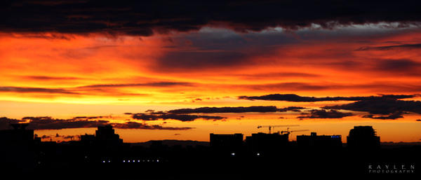 Sunset_Silhouettes_by_RealmicSorcerer.jpg