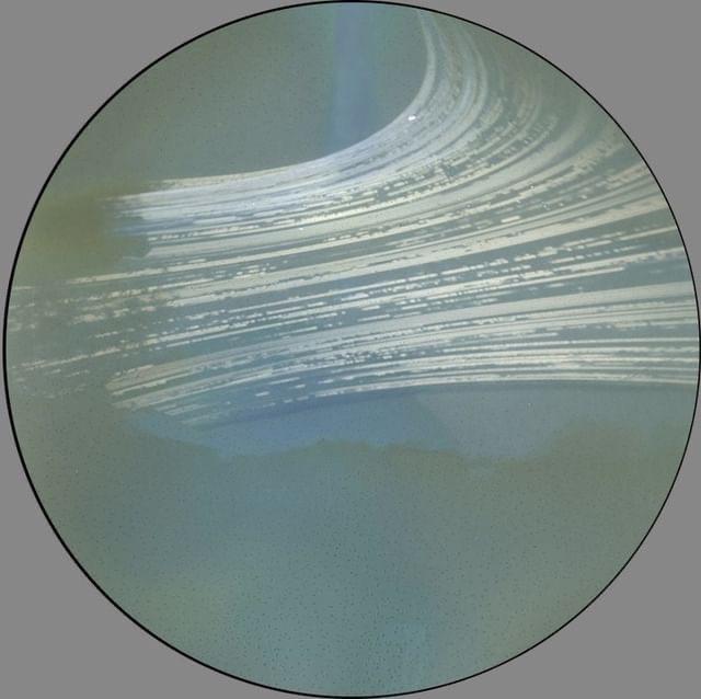 Solarcan Puck solargraph