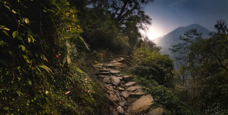 TOWARDS-SACEN-800x404.jpg