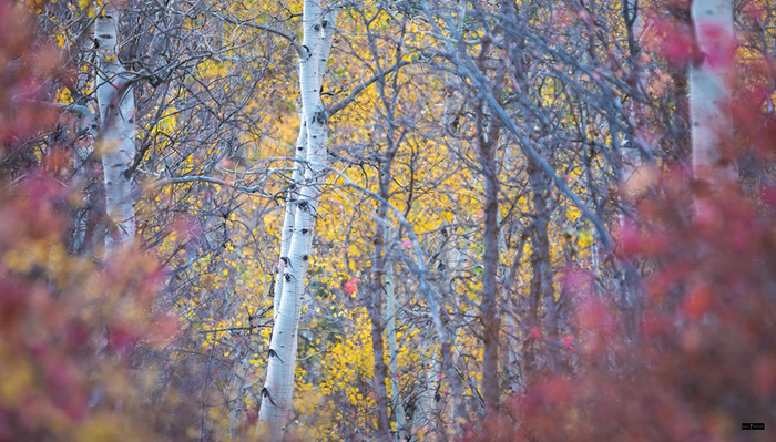 Get Out of Your Photography Comfort Zone