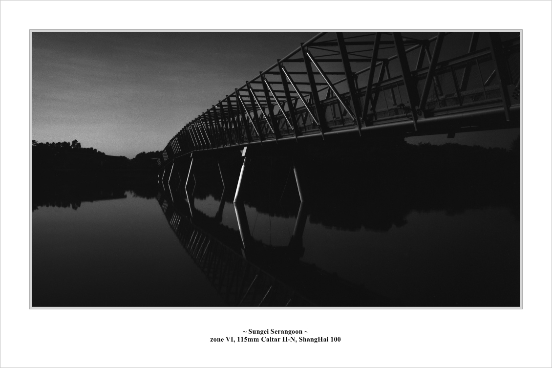 punggol_bridge005.jpg