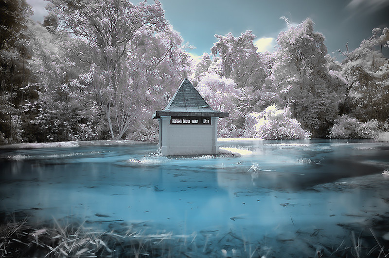 8752436033_c4d82d566e_c.jpg