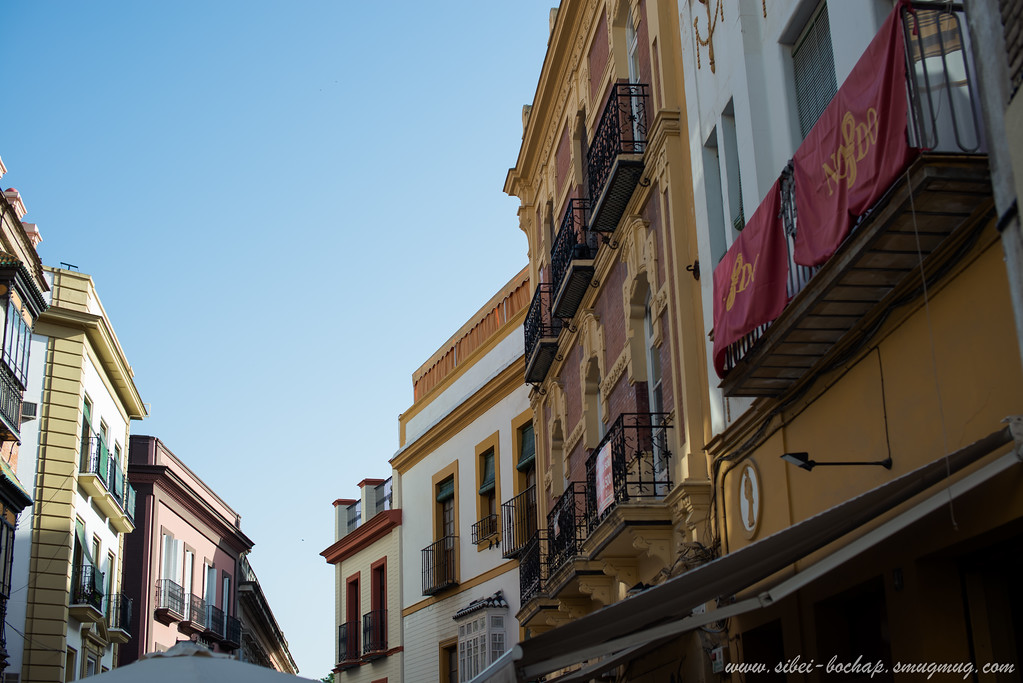 DSC8704-XL.jpg