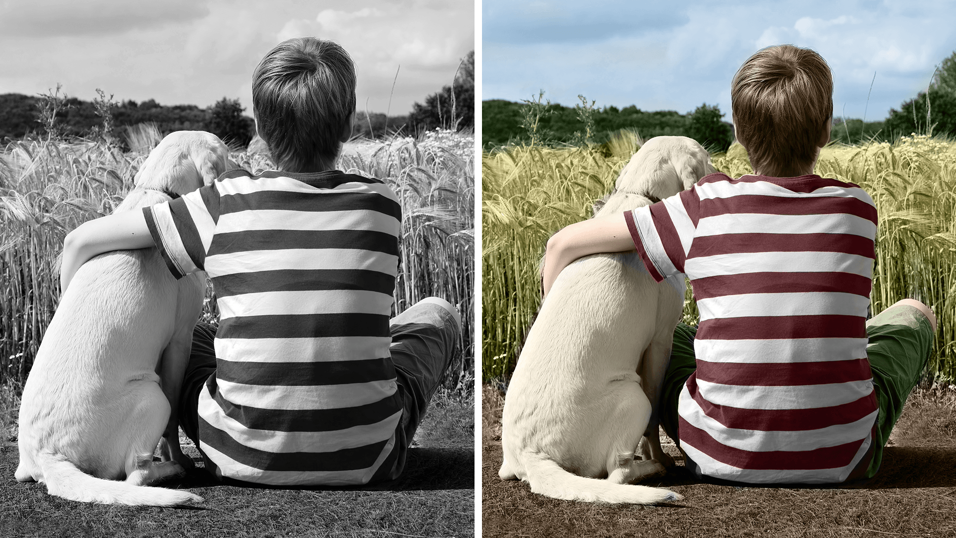 PSE2020_ColorizePhoto_2_1920x1080.png