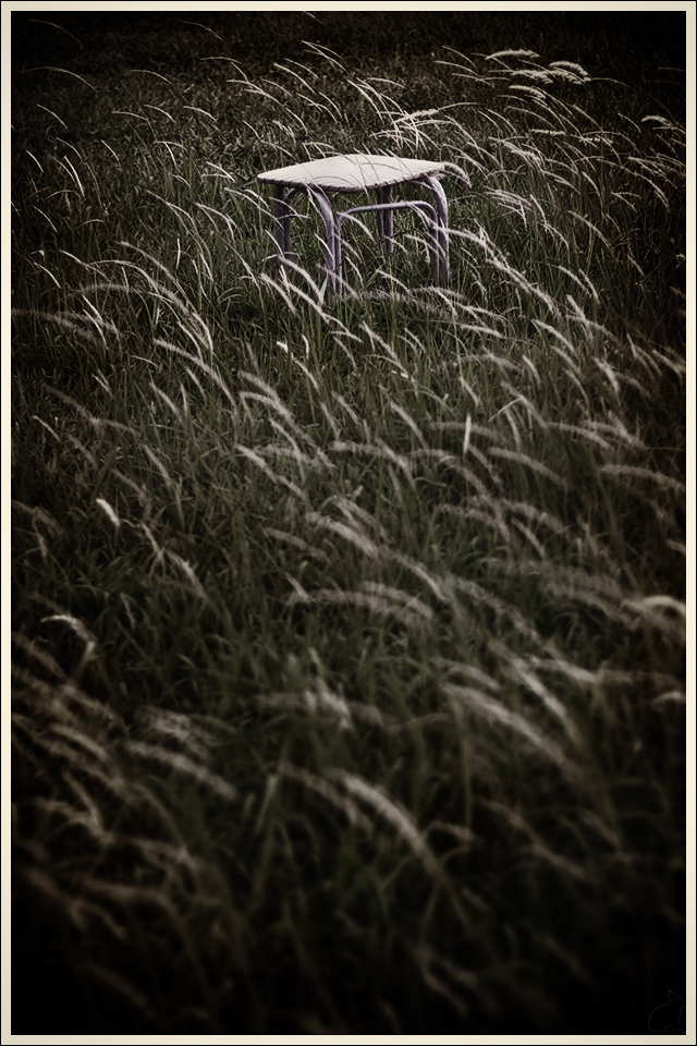 Sit_And_Think_by_Draken413o.jpg